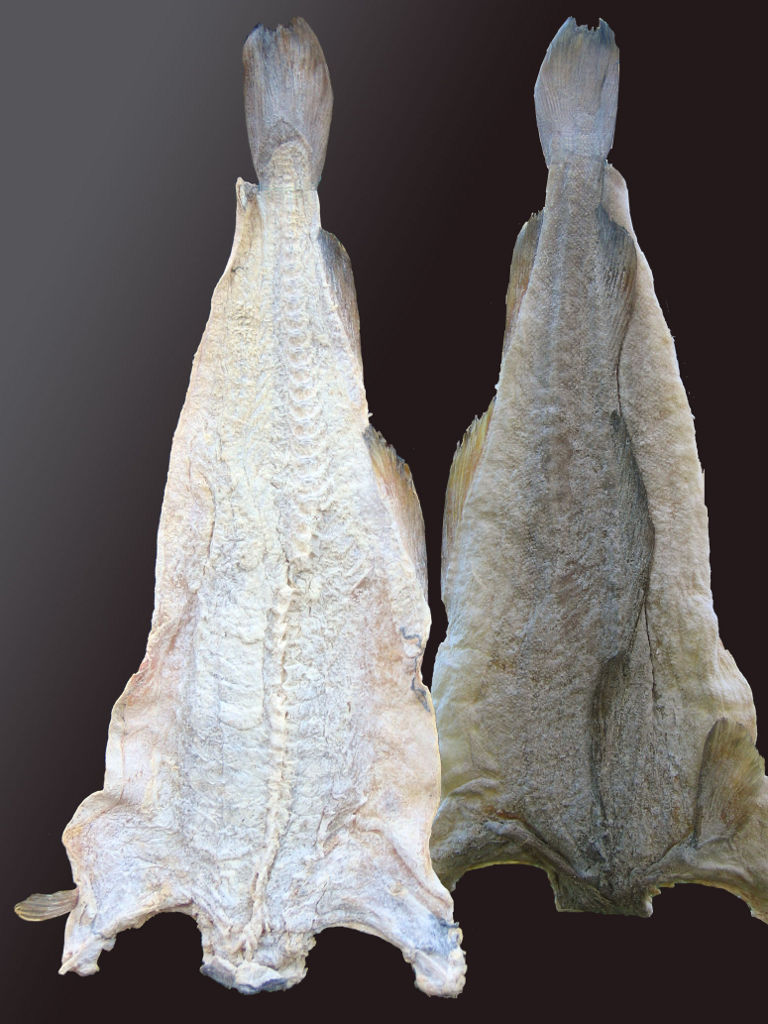 Stockfisch (Quelle: Wikimedia, Foto: Karl Ragnar Gjertsen)