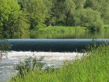 Ende Juni sollen Lachse über das Wehr in der Mulde springen