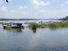 Die Donau beim Vorort Zemun 	