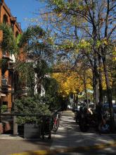 Herbst in Buenos Aires