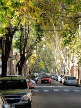 Die Straßen in der Schachbrettstadt scheinen fast bis zum Horizont zu führen und sind meistens von Bäumen gesäumt